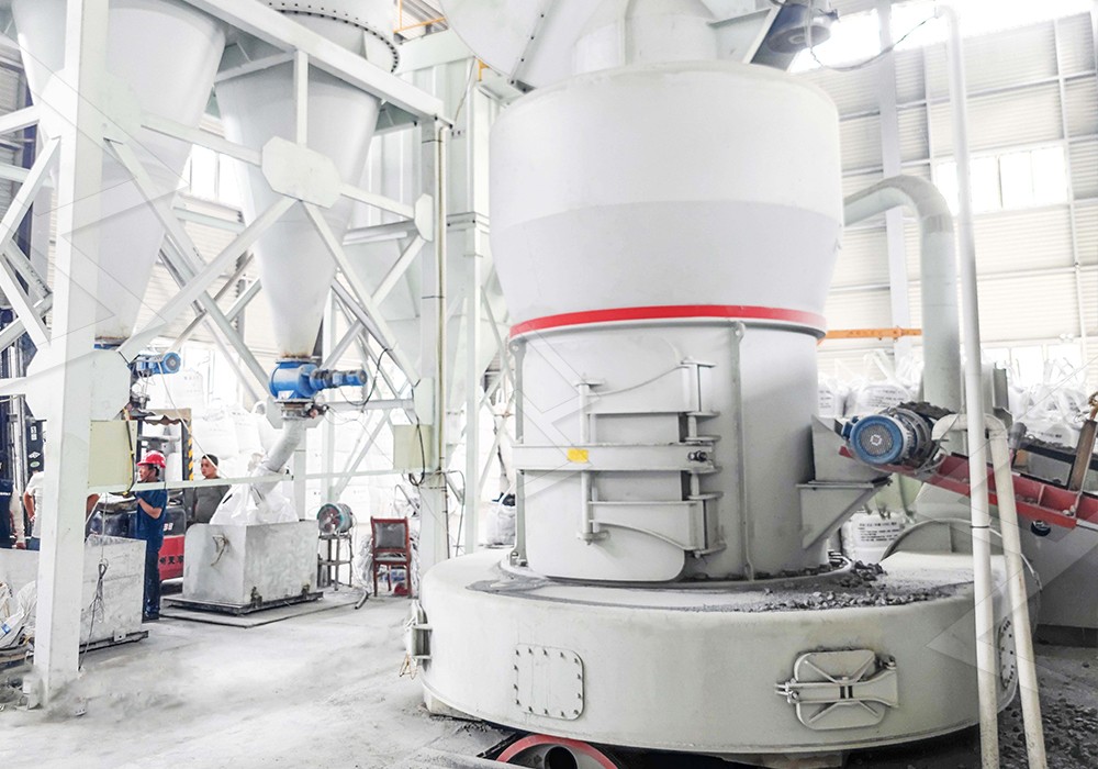 Close-up view of grinding roller and ring assembly inside a Raymond mill showing wear-resistant surfaces